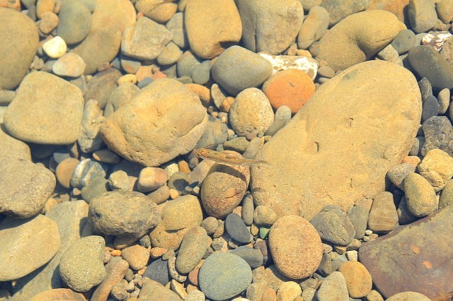 e0365036_13132903.jpg