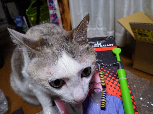 a0337237_15440228.jpg
