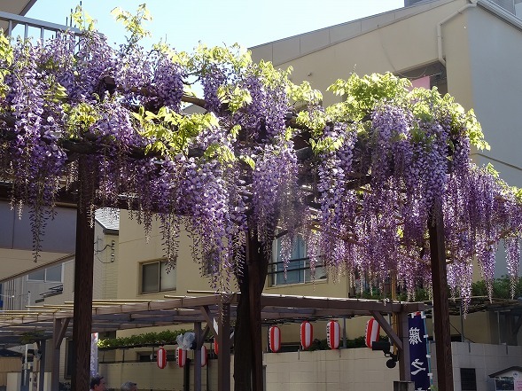 b0299042_10072157.jpg