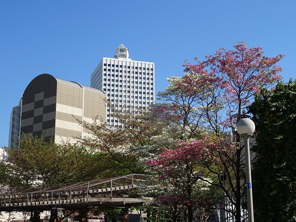 b0299042_10083077.jpg