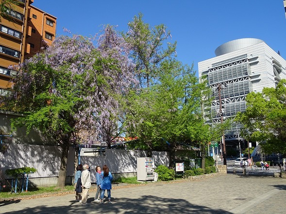 b0299042_10083779.jpg