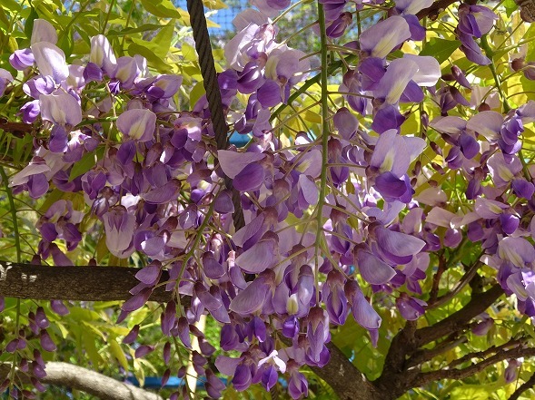 b0299042_10093247.jpg