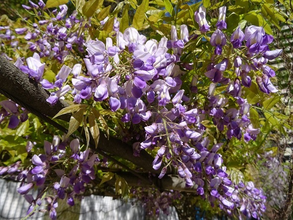 b0299042_10093761.jpg