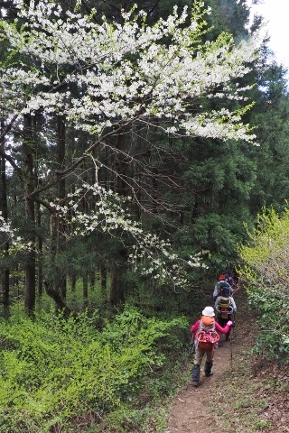 b0189948_2323890.jpg