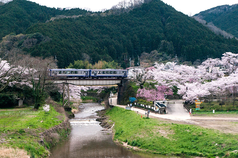 a0134950_03453243.jpg