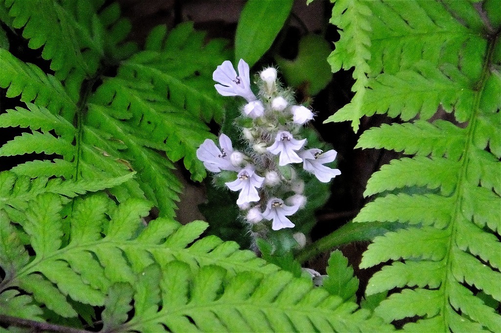 b0236251_13313710.jpg