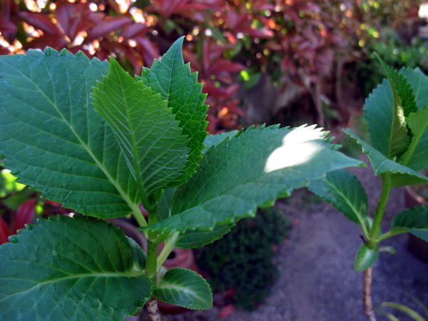 c0147952_21042014.jpg