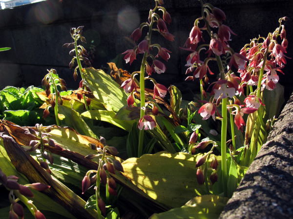 c0147952_21042700.jpg