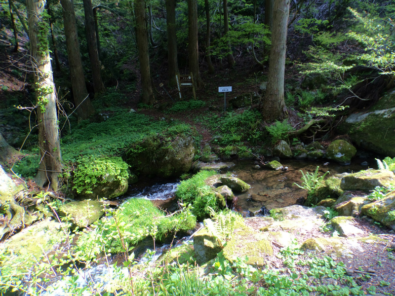 b0234354_18464385.jpg