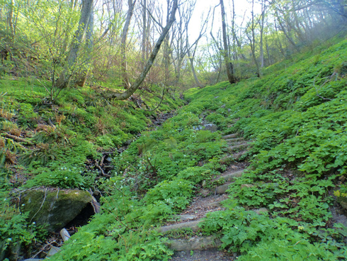 b0234354_18472269.jpg