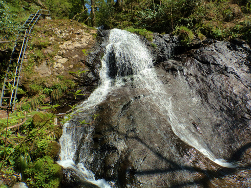 b0234354_1854452.jpg