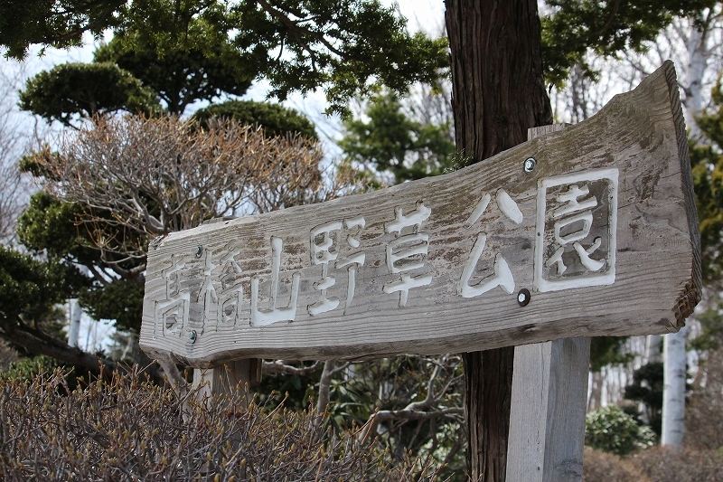 b0250154_20345648.jpg