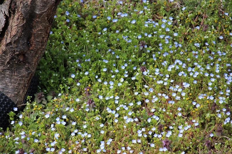 b0250154_20361516.jpg