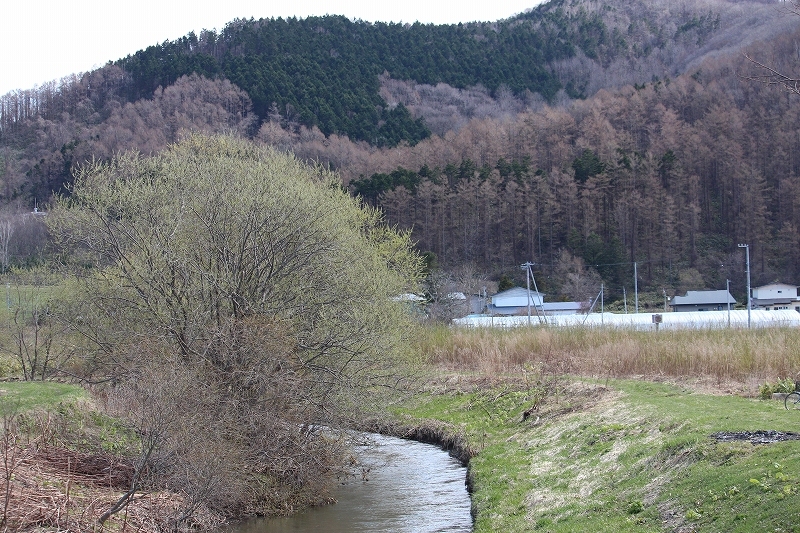 b0250154_20364737.jpg