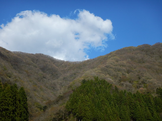 d0231858_628126.jpg