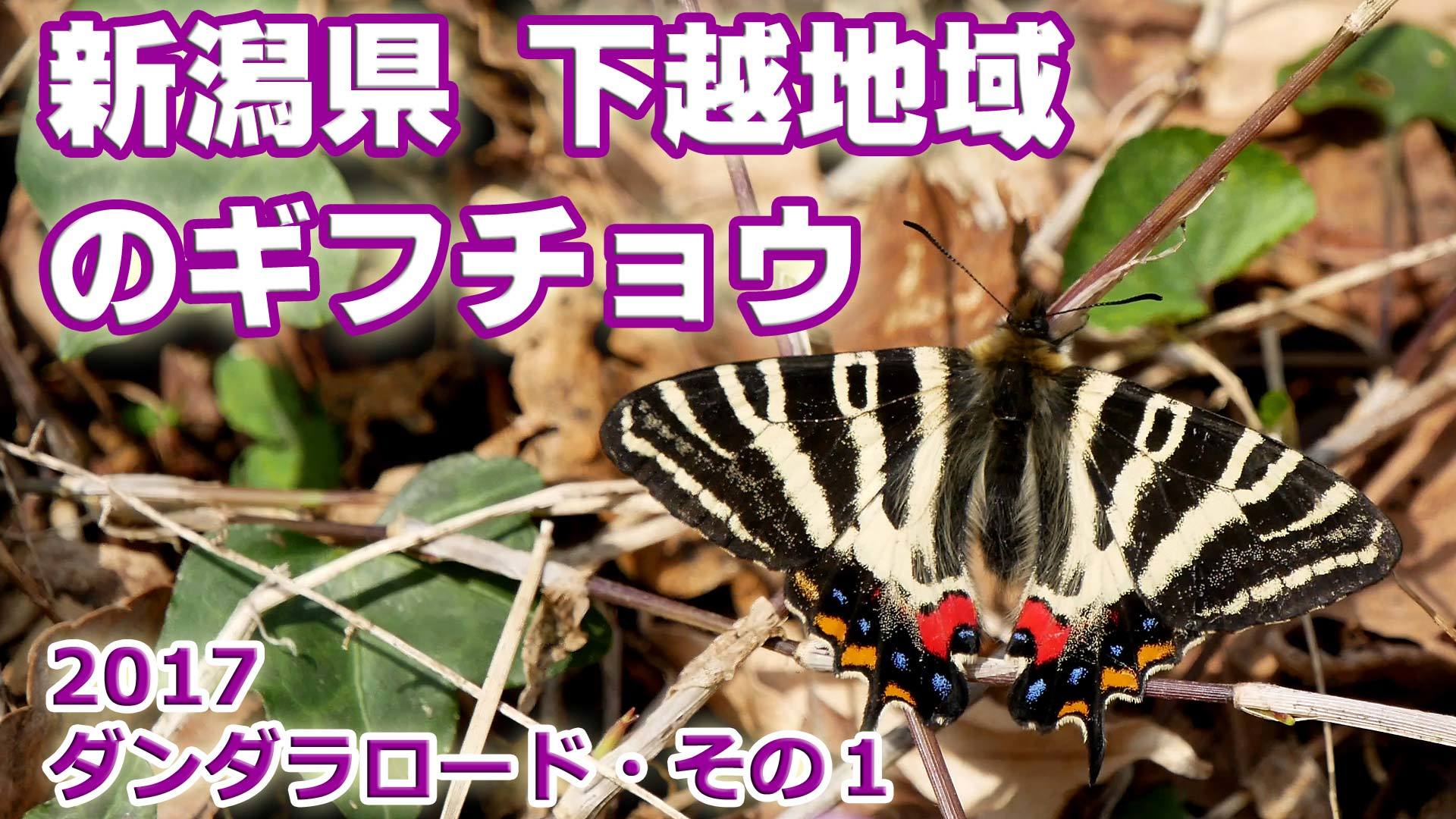 c0043361_07443512.jpg
