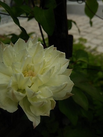 c0172261_00230902.jpg