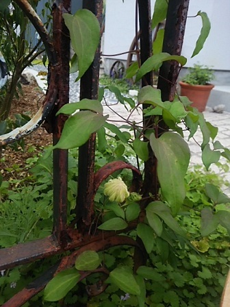 c0172261_00233699.jpg