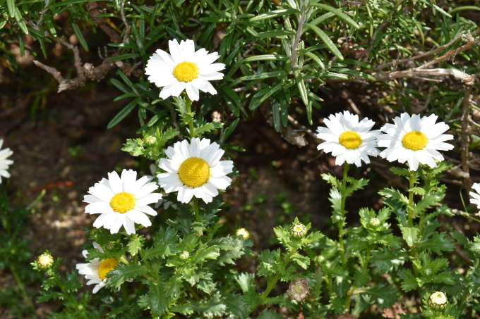 d0087062_22191803.jpg