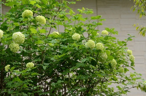 c0186463_00364201.jpg