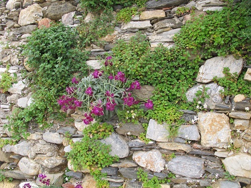 f0037264_17392904.jpg