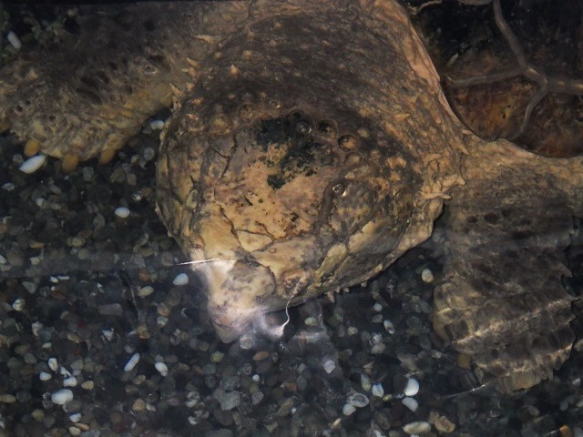 c0105569_00220911.jpg