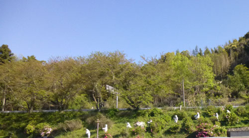 d0126573_202449100.jpg