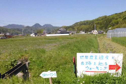 d0126573_20274839.jpg