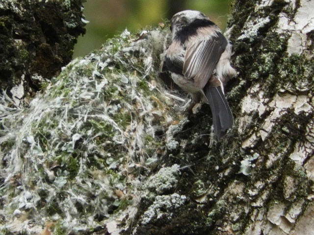 f0378979_14065298.jpg