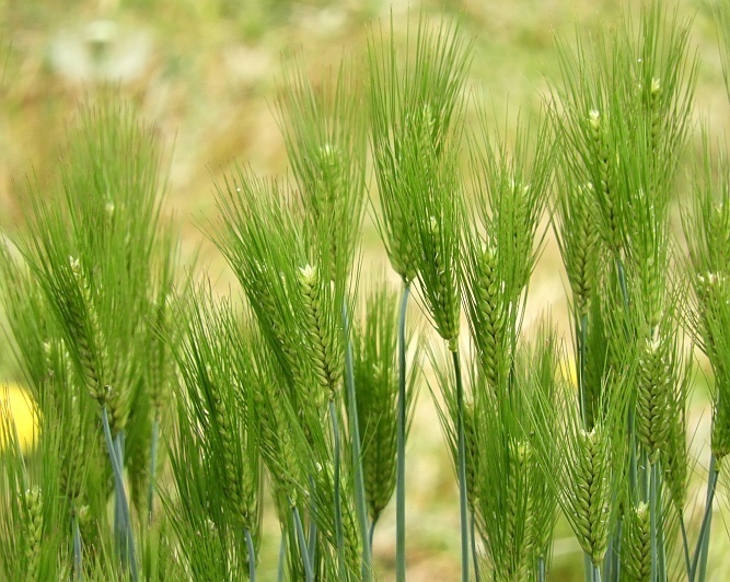 f0378979_14200620.jpg