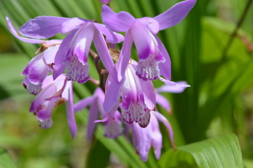 c0204385_14251333.jpg