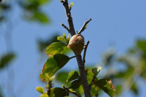 c0204385_14340796.jpg