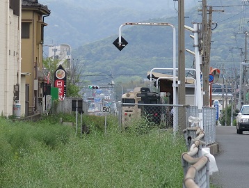 e0130185_1424536.jpg