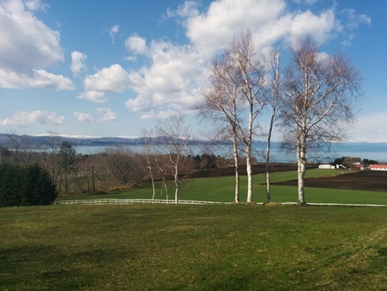 f0128092_00180447.jpg