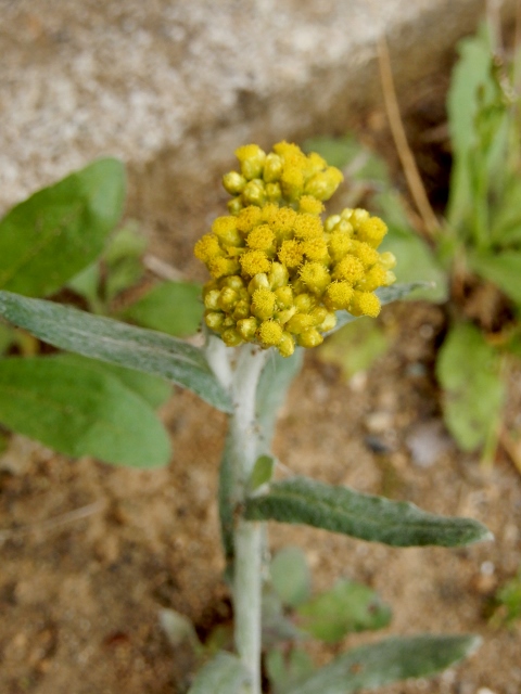 e0025300_210854.jpg