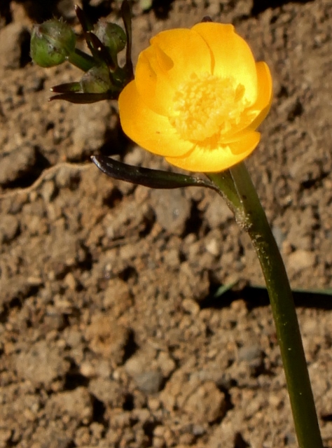 e0025300_21113093.jpg