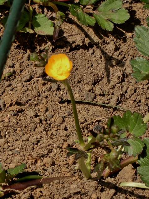e0025300_2111427.jpg