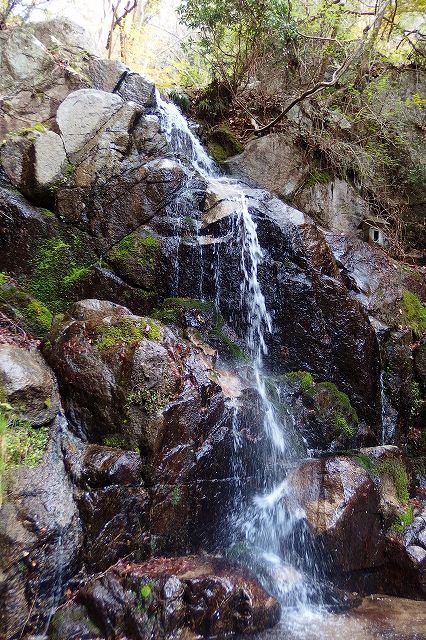 e0137200_2172753.jpg