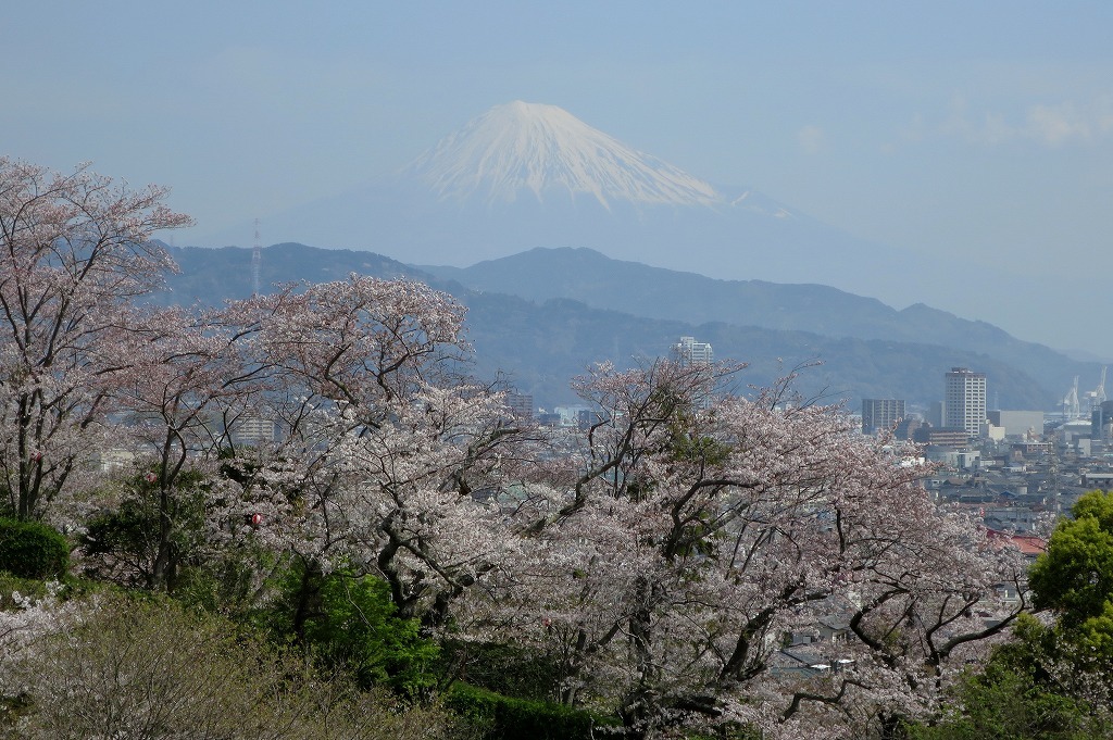 a0188405_17171018.jpg