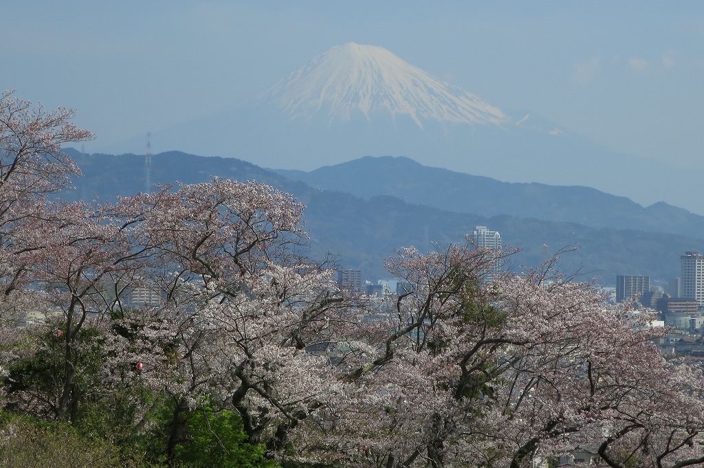 a0188405_17172330.jpg