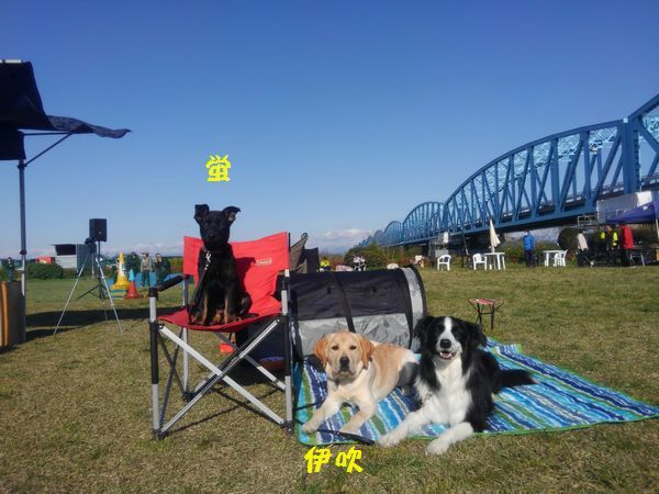 d0224111_14464396.jpg