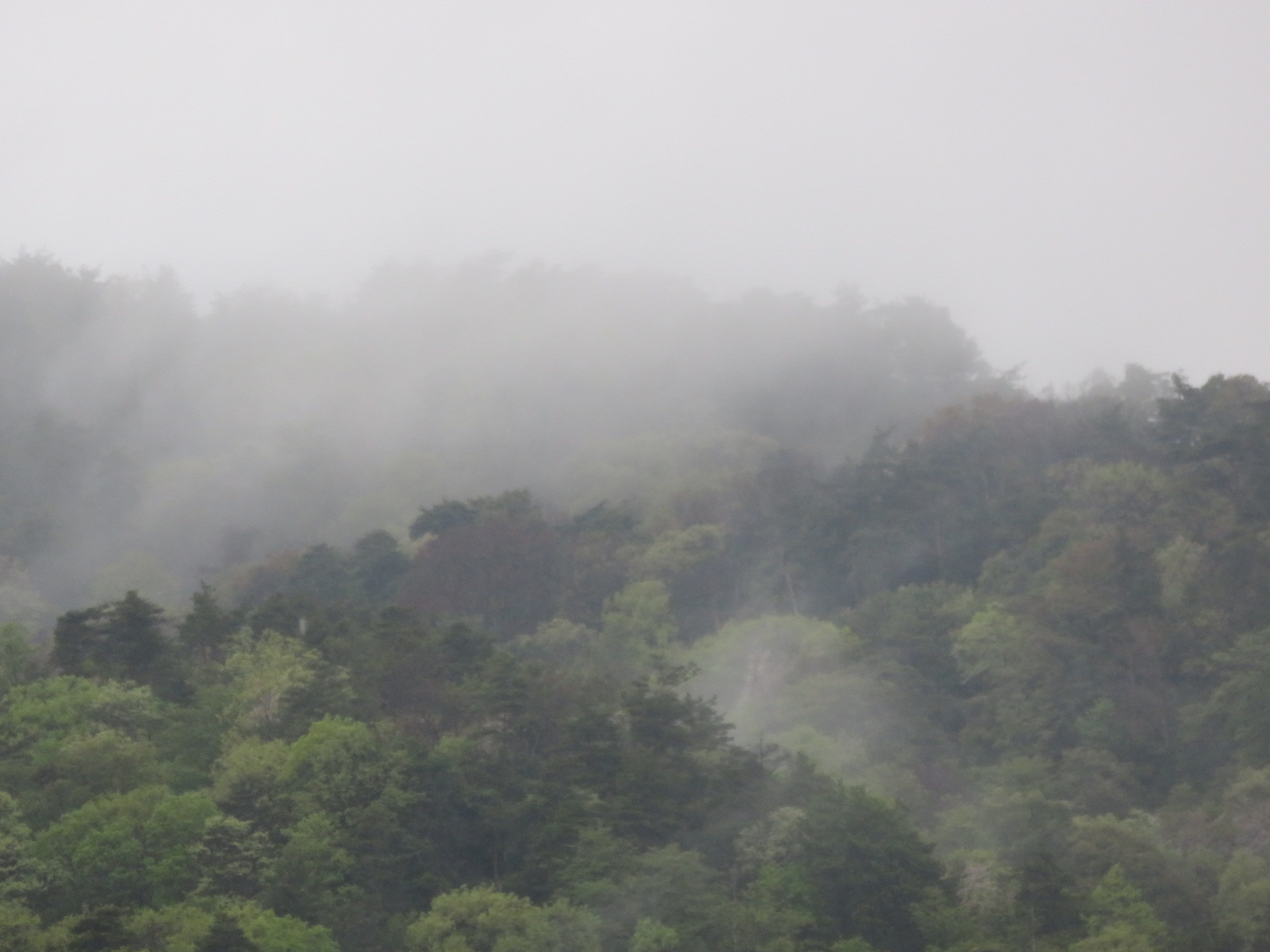 b0344816_21531339.jpg
