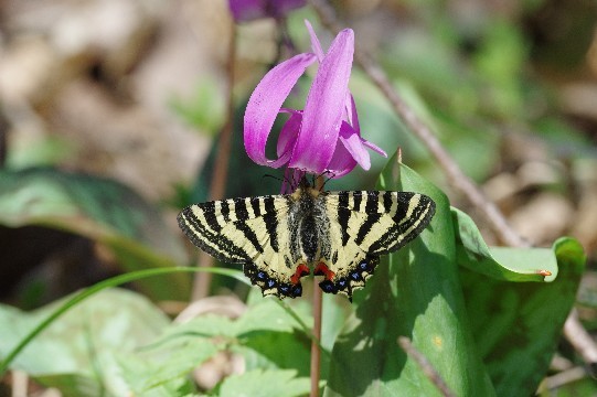 c0152317_20112549.jpg