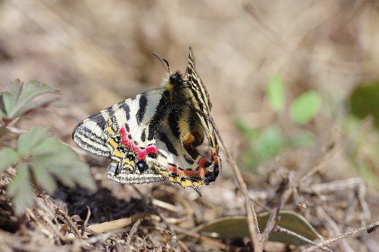 c0152317_20140452.jpg