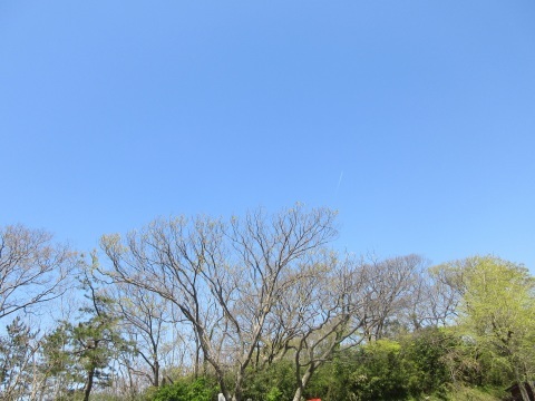 f0149422_00051578.jpg