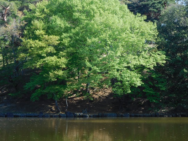 f0097528_20274621.jpg