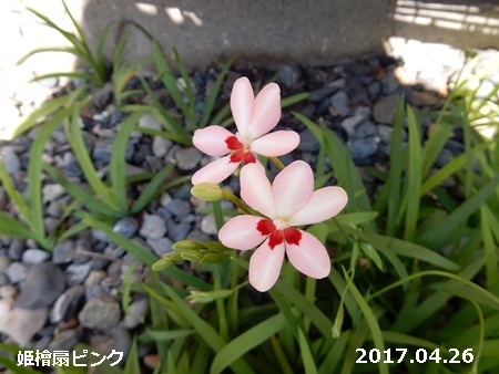 e0033229_18242578.jpg