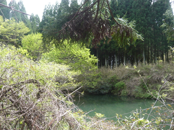 a0206332_14474410.jpg