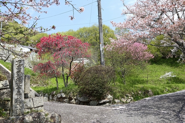 a0242438_19381614.jpg