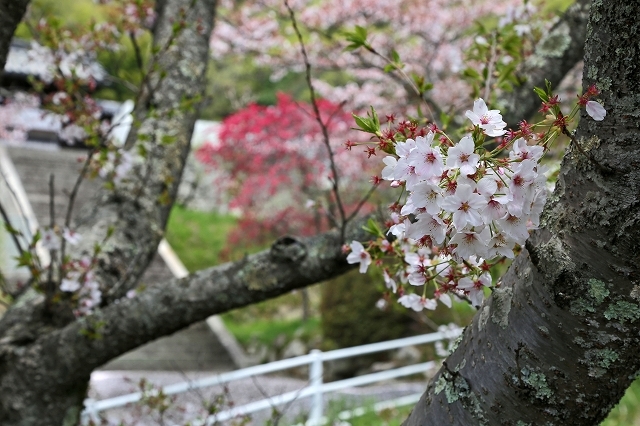 a0242438_19400231.jpg